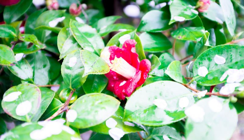 息抜きとは、生きる活力06